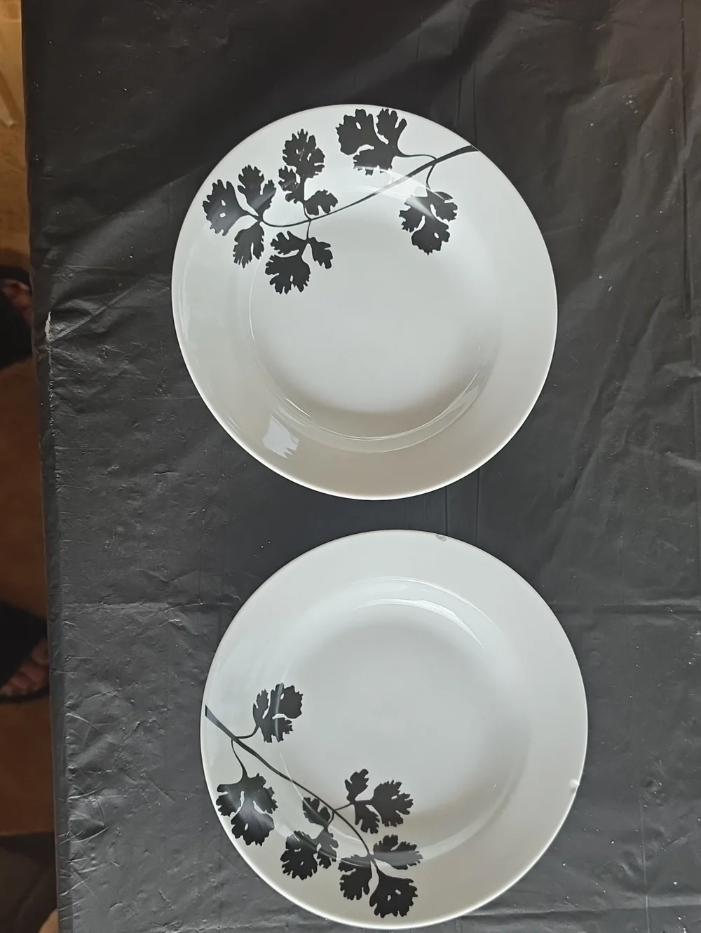 COOKS White Dinner Plates with Black Leaf Motif - Set of 2 CALLOUT-2 Chips